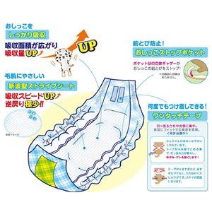 （まとめ）男の子のマナーおむつビッグP小中型犬用38枚（ペット用品）【×6セット】｜nc-store｜03