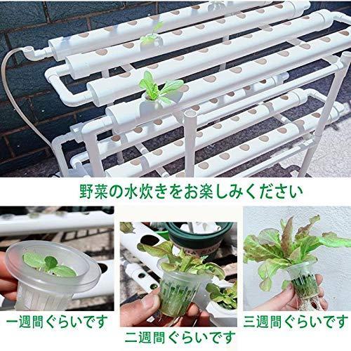 [大特価] 水耕栽培キット 野菜 栽培キット すいこう栽培キット 室内 いちご 家庭菜園 水耕栽培セット プランター 108穴 【J1946045201】(10962円)