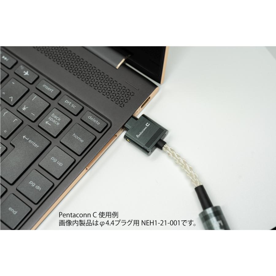 日本ディックス純銀ケーブル4.4mmcx+変換ケーブル