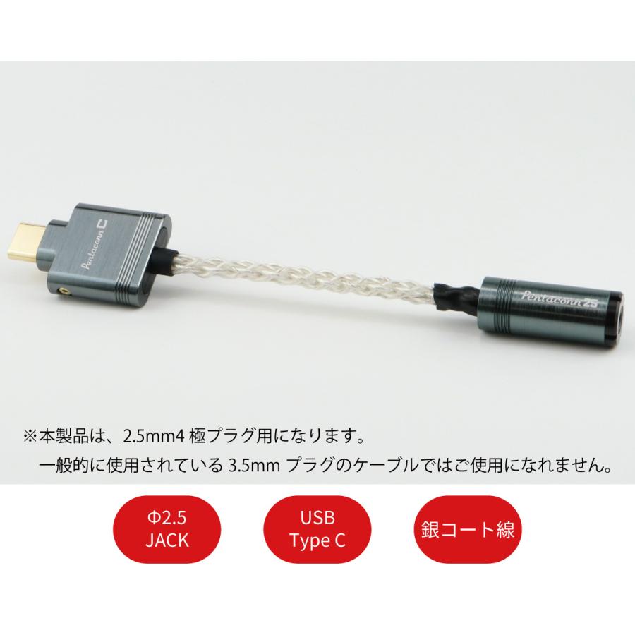 Pentaconn USB 本店 Type 最高級のスーパー C 2.5mmジャック変換ケーブル - 日本ディックス