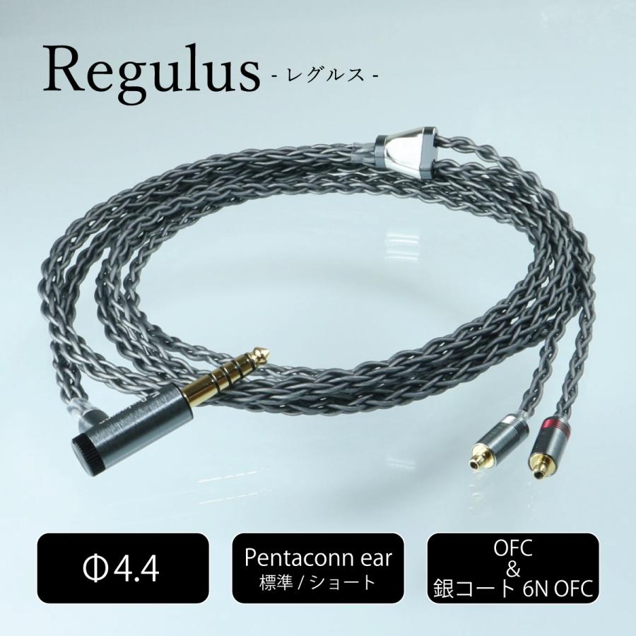 Regulus 4 4mm5極pentaconn Ear 6nofc銀コート8芯リケーブル標準イヤホンケーブルcable Prs01 44 Es 日本ディックス店 通販 Yahoo ショッピング