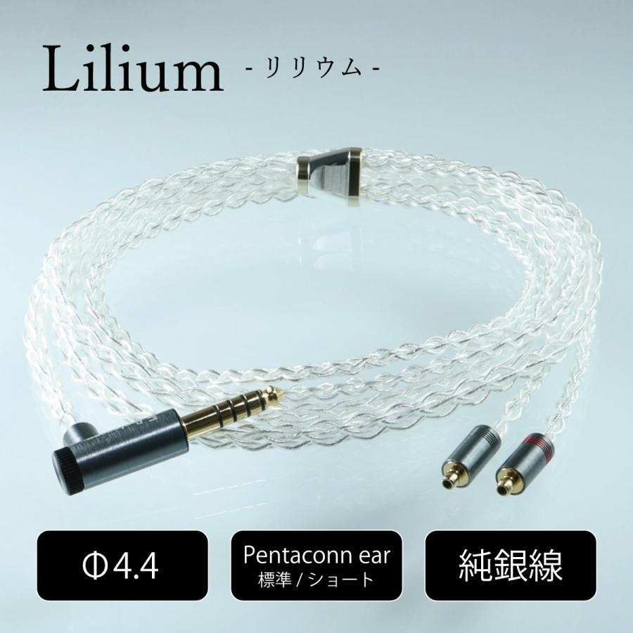 最安値挑戦！ Pentaconn ear OFC 接続プラグ 標準 sonhaflex.pt