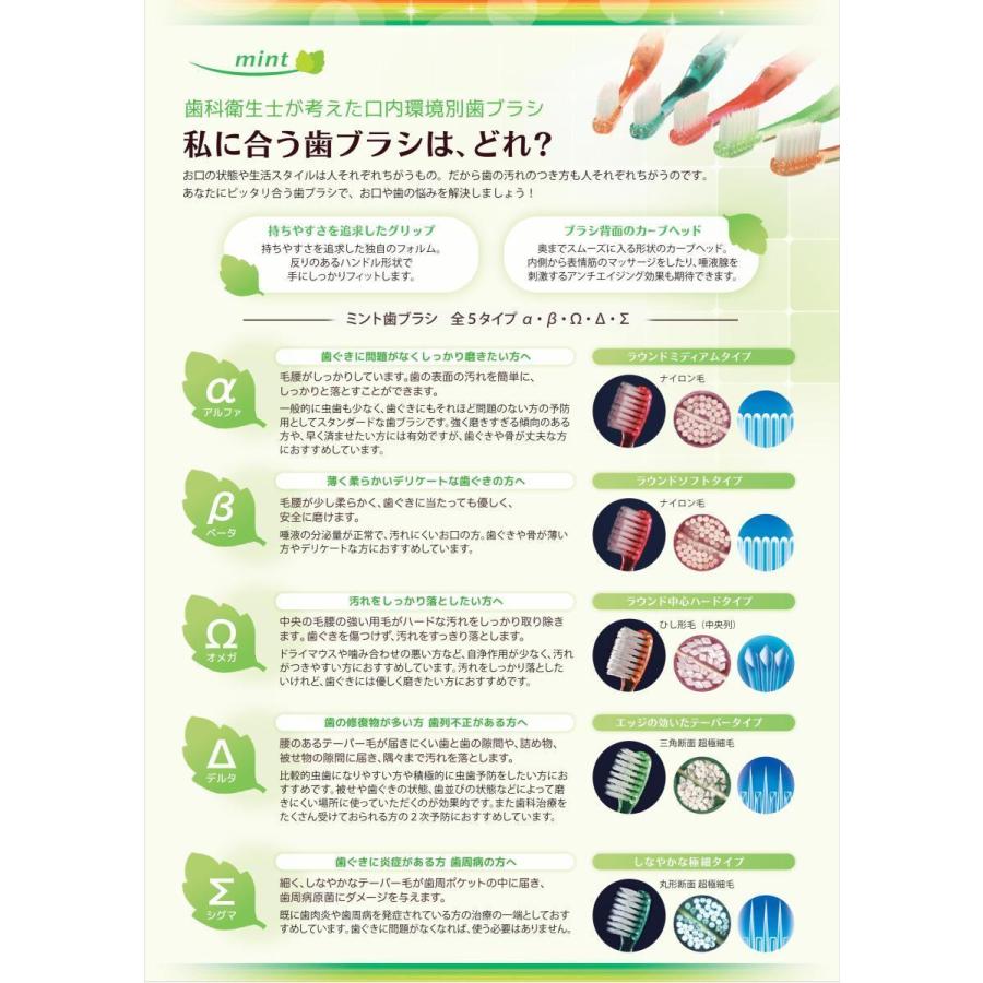 歯ブラシ　ミント歯ブラシデルタ　1本 |  | 01