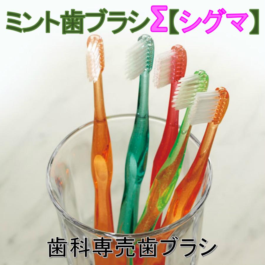 歯ブラシ　ミント歯ブラシシグマ　1本 | 