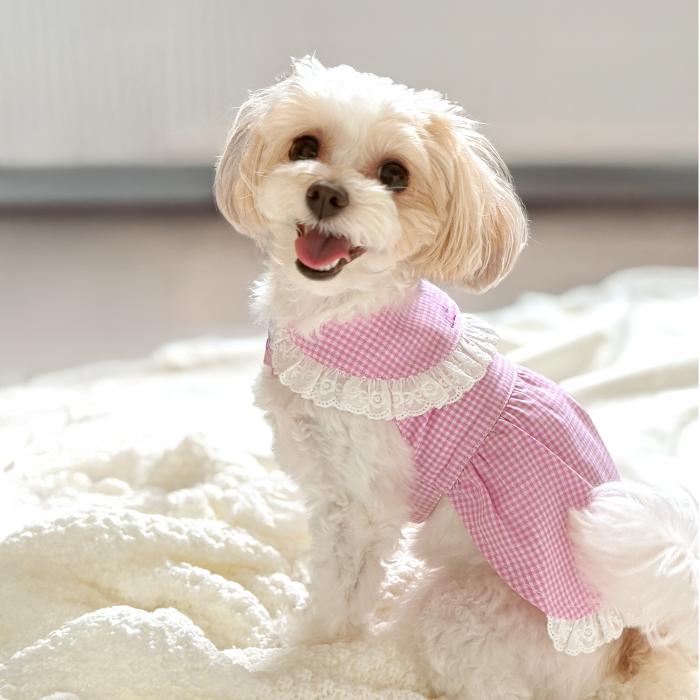 犬服　ギンガムチェックワンピース　ハンドメイド 小型犬用 ♡ 春夏犬服 ♡ ギンガムチェック ♡ シンプルな