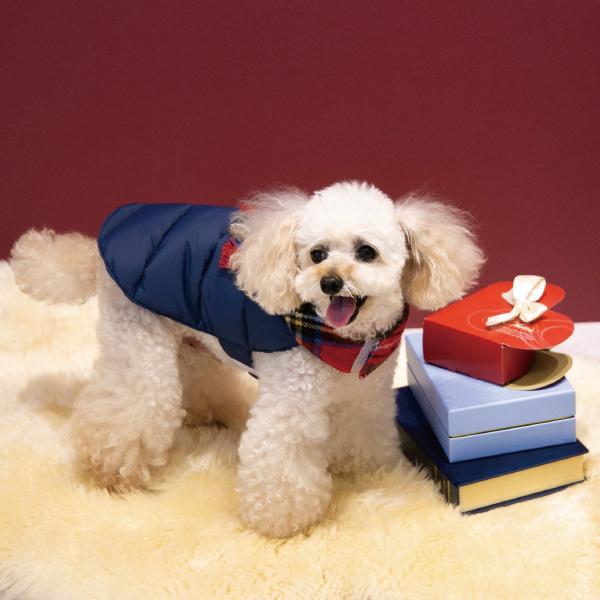 犬服 犬の服 冬 ダウン マフラー ペット服 ドッグウェア 冬用 冬服