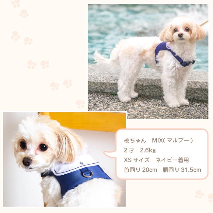 犬 ハーネス おしゃれ かわいい 簡単装着 ハーネス付き服 抜けない 脱げない 小型犬 セーラー服 MARINE |  | 19
