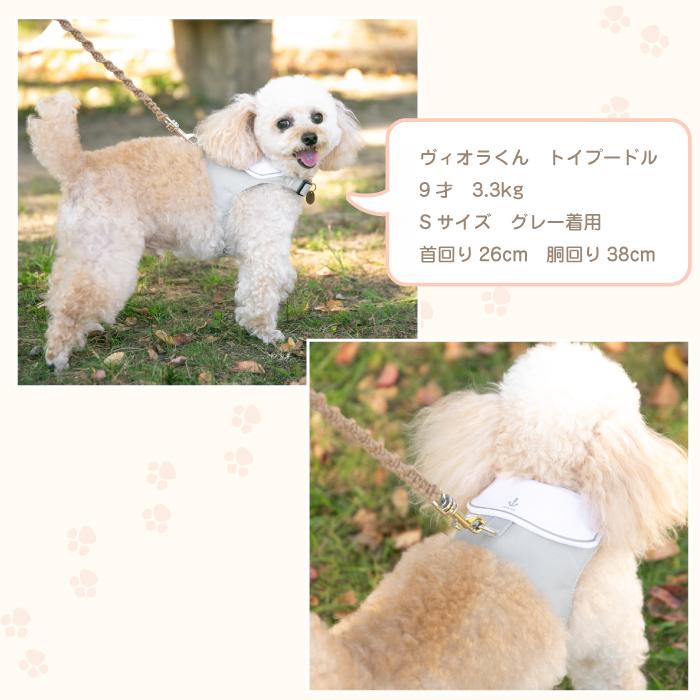 犬 ハーネス おしゃれ かわいい 簡単装着 ハーネス付き服 抜けない 脱げない 小型犬 セーラー服 MARINE |  | 20