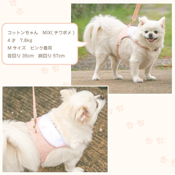犬 ハーネス おしゃれ かわいい 簡単装着 ハーネス付き服 抜けない 脱げない 小型犬 セーラー服 MARINE |  | 21