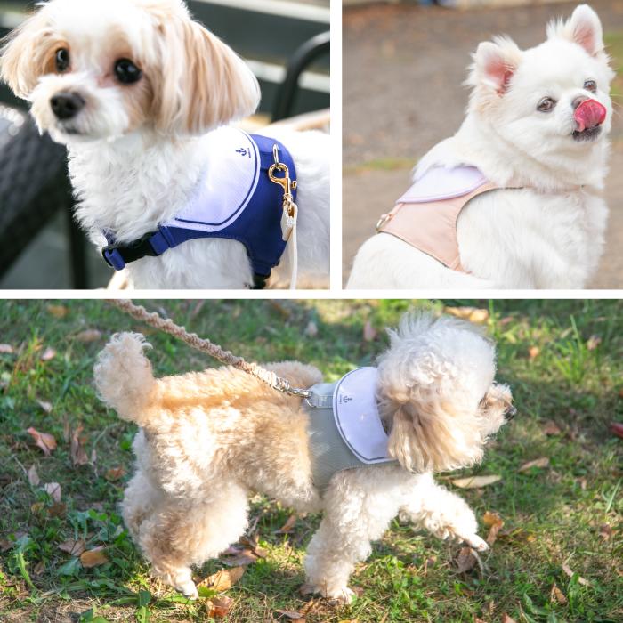 犬 ハーネス おしゃれ かわいい 簡単装着 ハーネス付き服 抜けない 脱げない 小型犬 セーラー服 MARINE |  | 07