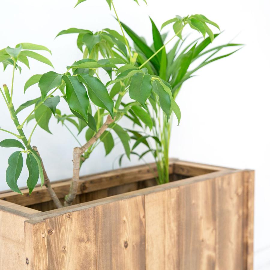 プランターカバー ボックス 観葉植物 ガーデニング 無垢 北欧 シンプル モダン ナチュラル おしゃれ 天然木 手作りオフィス パーテーション_2