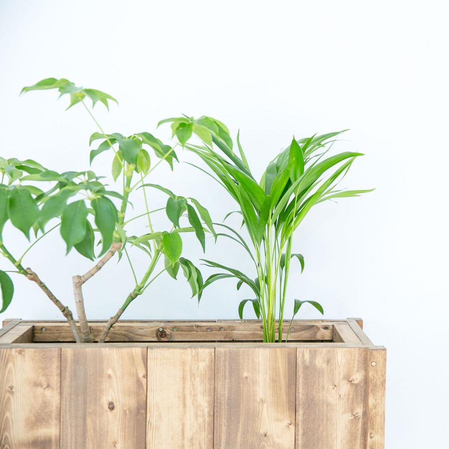 プランターカバー ボックス 観葉植物 ガーデニング 無垢 北欧 シンプル モダン ナチュラル おしゃれ 天然木 手作りオフィス パーテーション_4