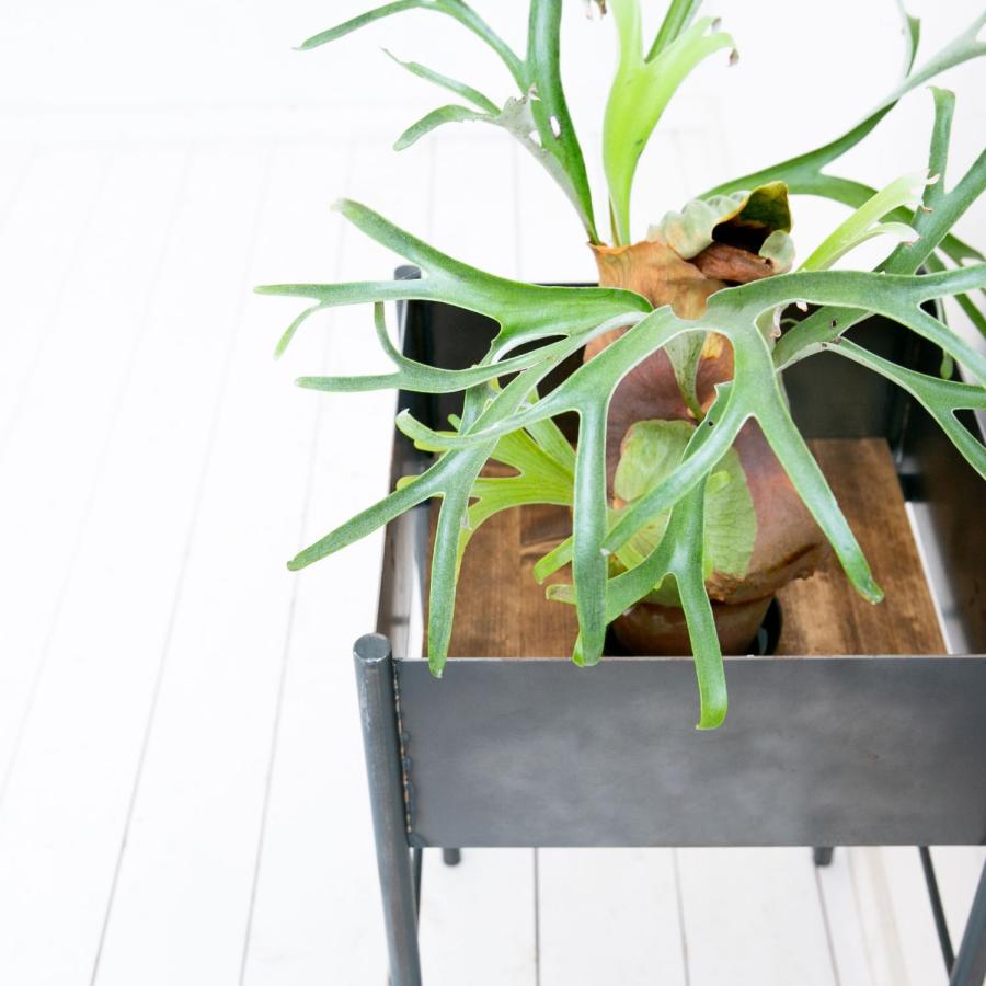 プランターカバー ボックス 観葉植物 ガーデニング 無垢 北欧 シンプル モダン ナチュラル おしゃれ 天然木 手作りオフィス パーテーション_4