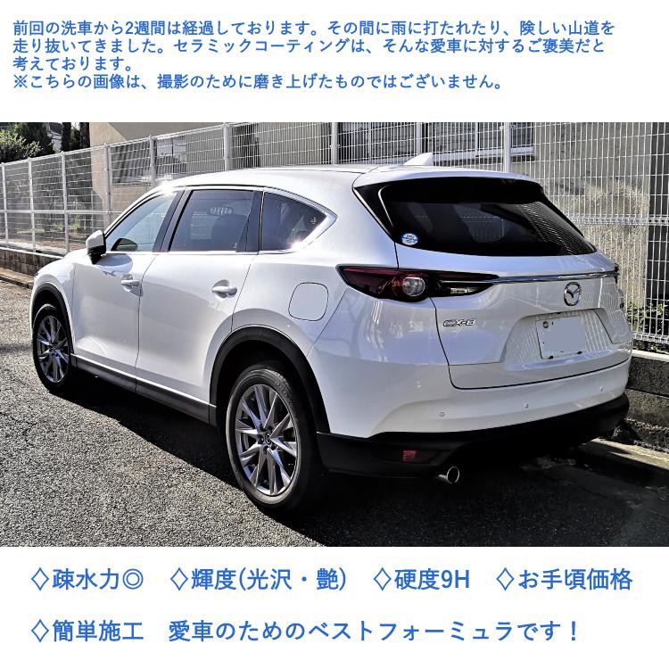 車専用セラミックコーティング剤 ダイアモンドシールド 疎水性 光沢 艶 