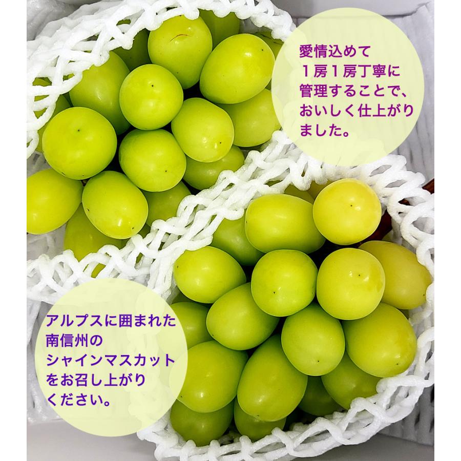 南信州高森産 シャインマスカット 2〜3房 1kg(秀品) : 熱中