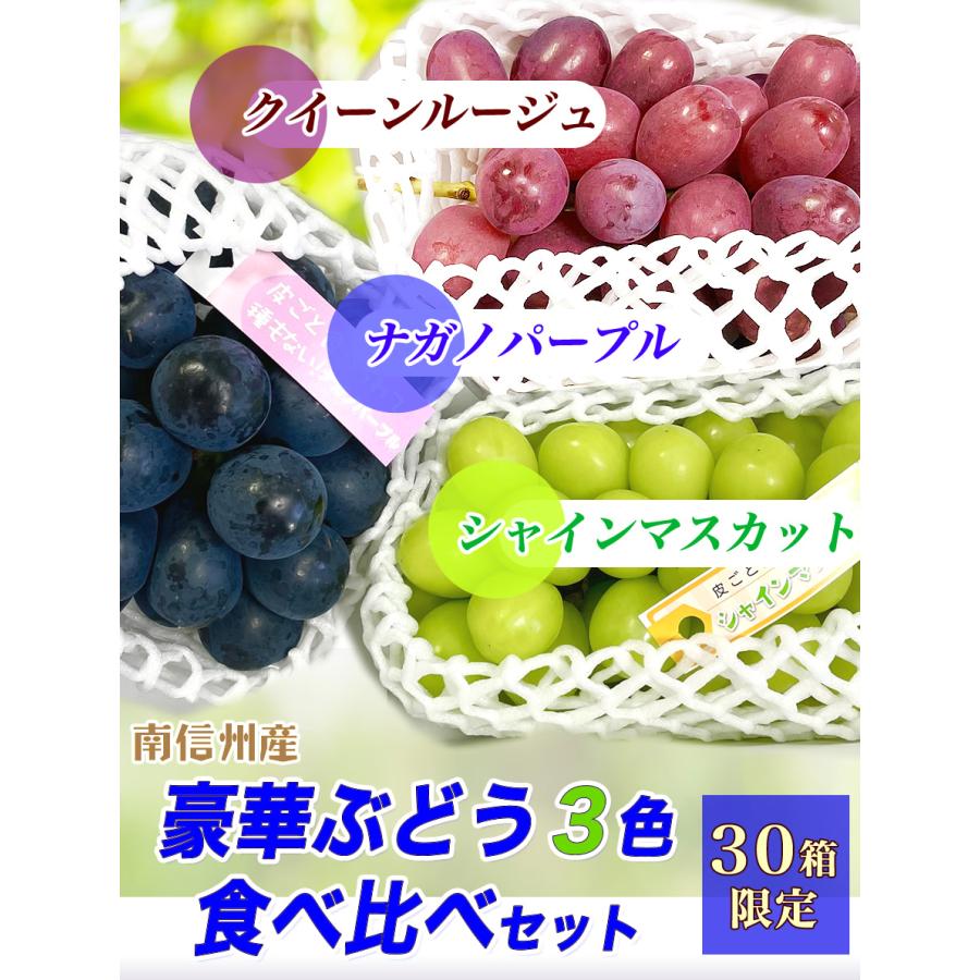 お徳用　シャインマスカット　クイーンルージュ　種無し巨峰　粒詰め合わせ