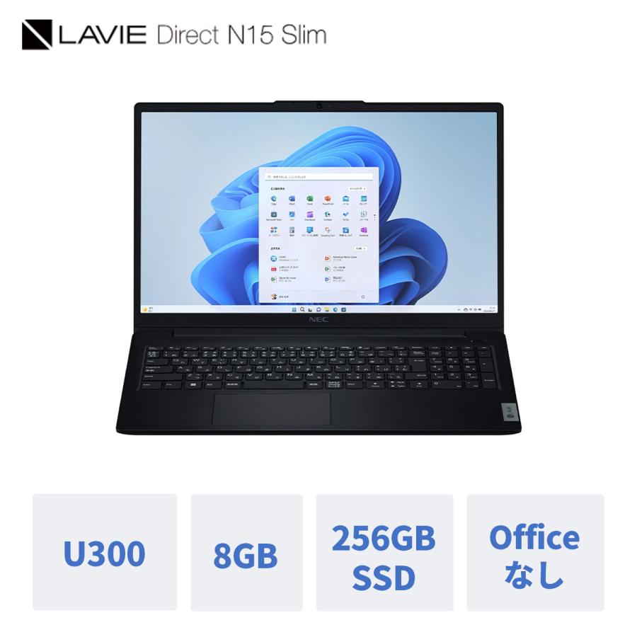 Web限定モデル】 NECノートパソコンLAVIE Direct NS (Pentium搭載・1TB