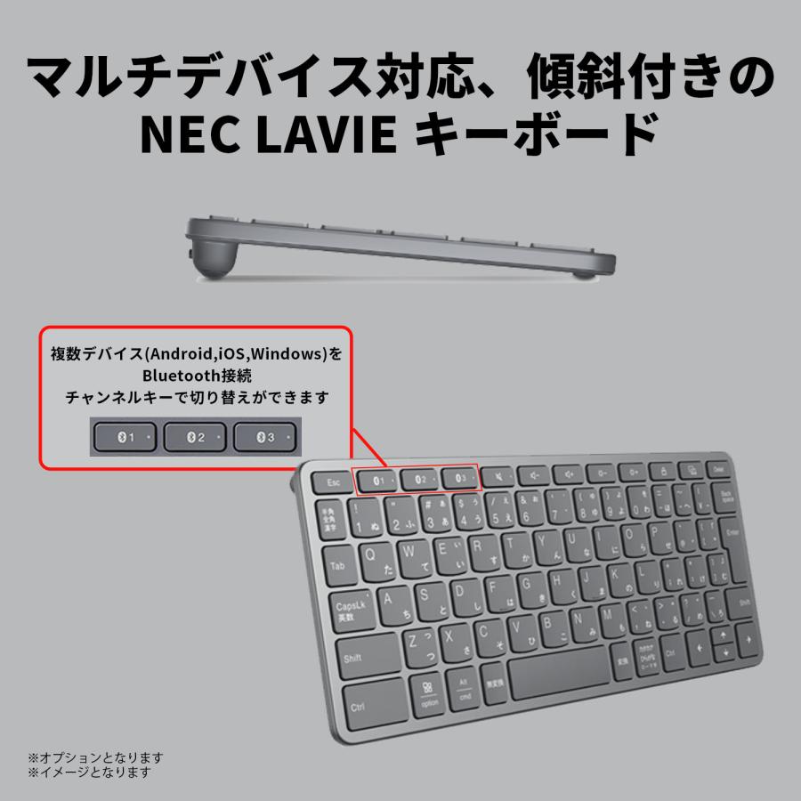 NEC 【公式】 NEC LAVIE 日本 メーカー タブレット Android 14 wi-fi