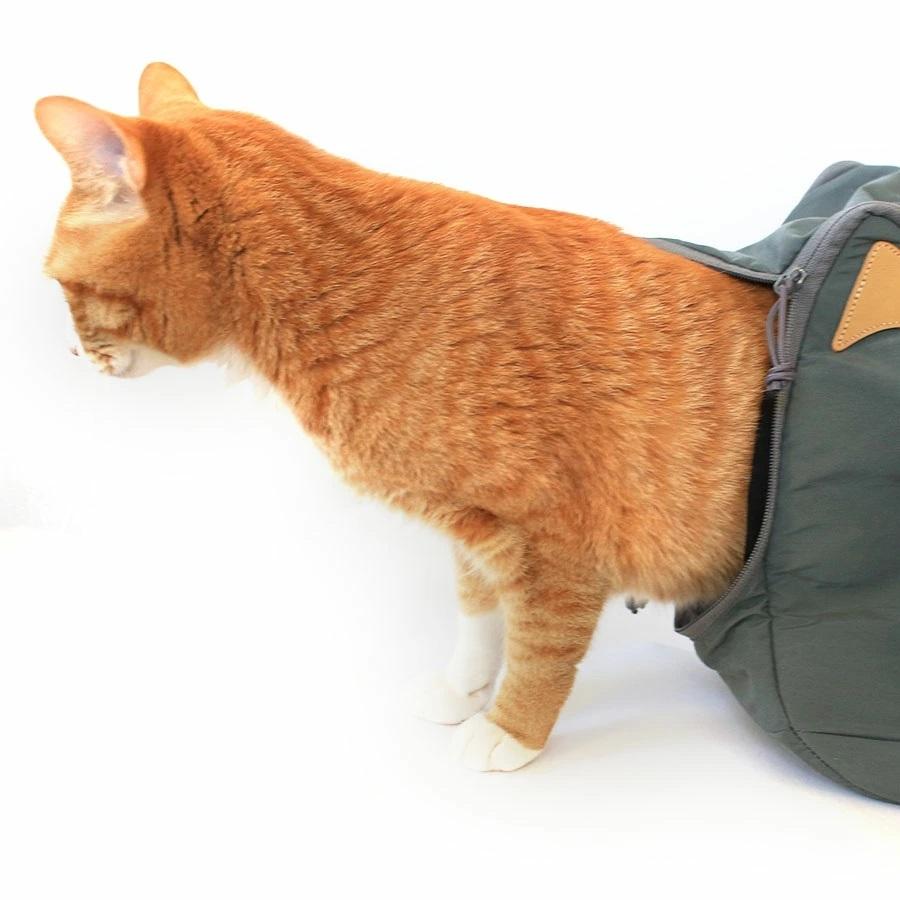 最新コレックション Cat 2way Boston Bag キャット2wayボストンバッグ 売り切れ必至 Zoetalentsolutions Com