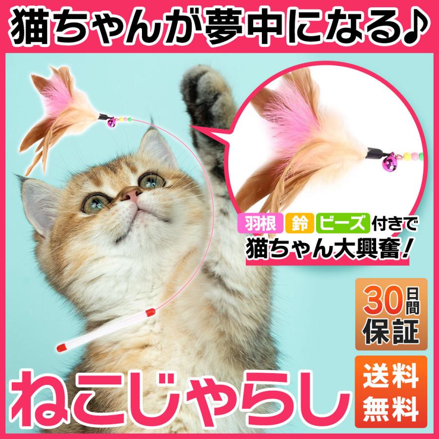 格安 価格でご提供いたします 猫じゃらし 羽じゃらし 猫用品 猫 おもちゃ 猫まっしぐら 羽根と鈴 ワイヤー sarozambia.com 格安 価格でご提供いたします 猫じゃらし 羽じゃらし 猫用品 猫 おもちゃ 猫まっしぐら 羽根と鈴 ワイヤー sarozambia.com