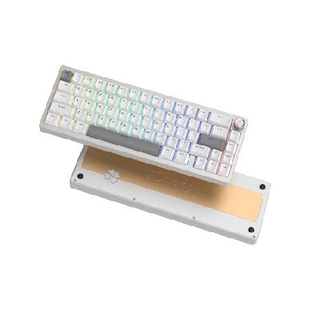 キーボード WOMIER SK65 Beige V2 Amazon.com: Womier SK65 Wireless Mechanical Gaming Keyboard
