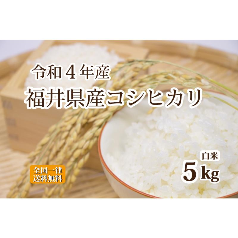 米 無洗米 5kg コシヒカリ 福井県産 白米  令和4年産 送料無料