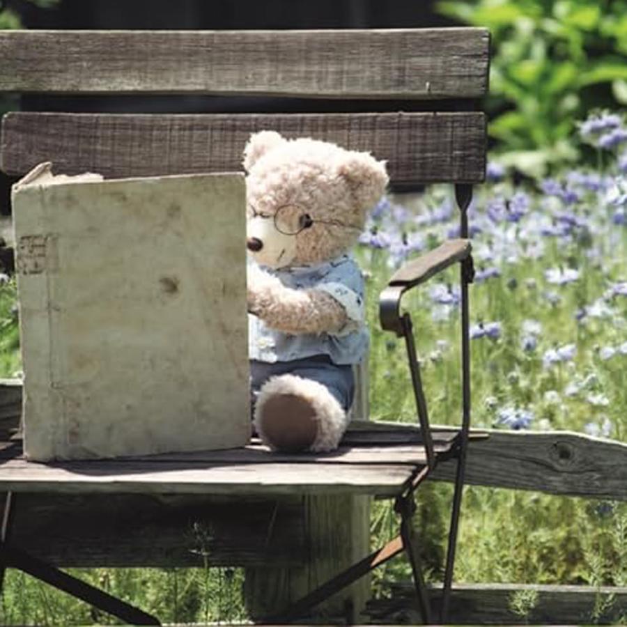 テディベアクローゼット TEDDY BEAR CLOSET（文化出版局刊