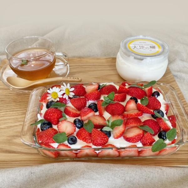 大地の耀150g ナチュラルチーズ フレッシュタイプ 北海道 十勝 チーズ