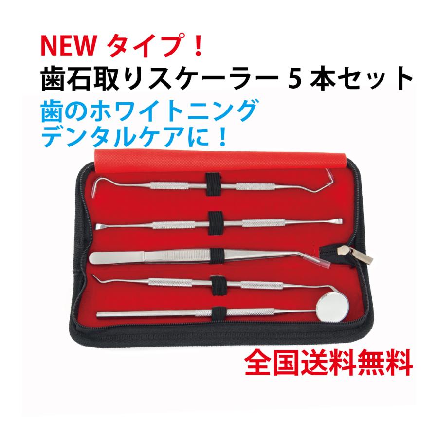 歯 ホワイトニング セルフ 自宅 歯石とり ヤニとり スケーラー5本セット 最安 自宅で簡単 ステンレス製 送料無料 | 