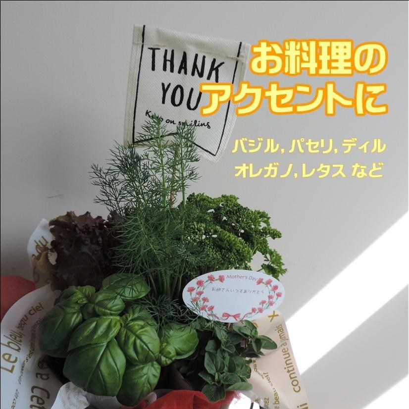 お誕生日 お祝い ハーブ苗 人気 おまかせ アレンジ 香り 寄せ鉢 丸型プランター付 ギフト プレゼント ガーデニング 寄せ植え A0007 花 ル パルテール Yahoo ショップ 通販 Yahoo ショッピング
