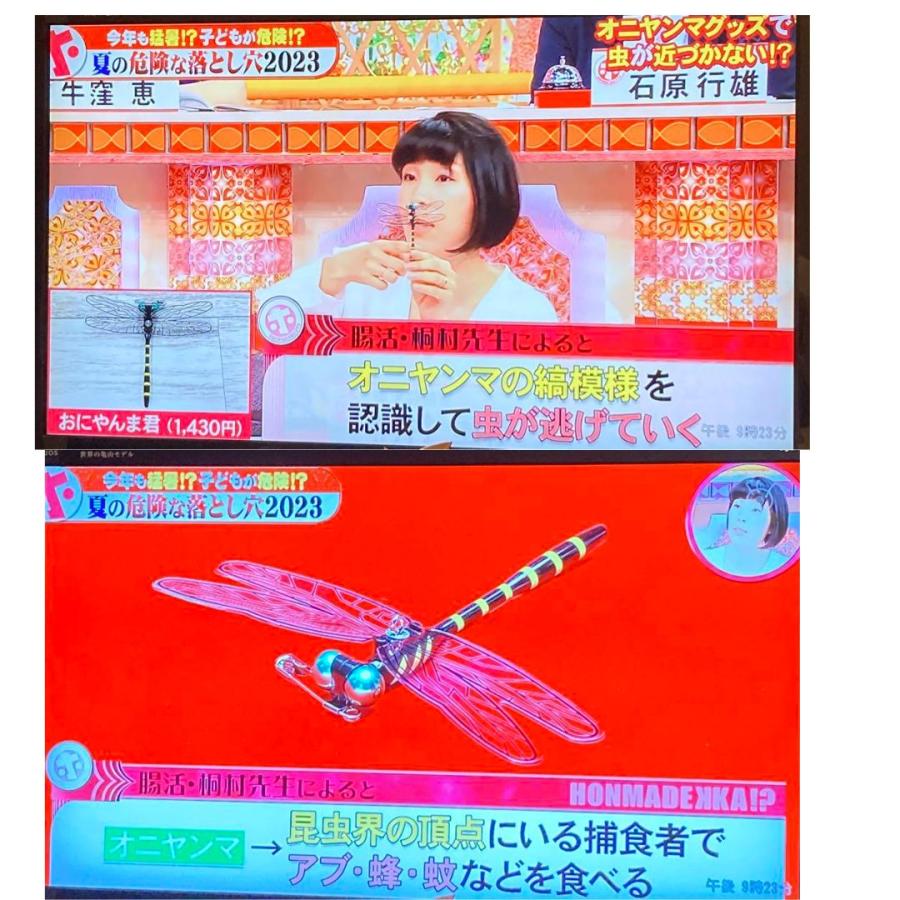 3個　箱入り　オニヤンマ　おにやんま　オニヤンマ君　オニヤンマくん　とんぼ　虫除け |  | 09