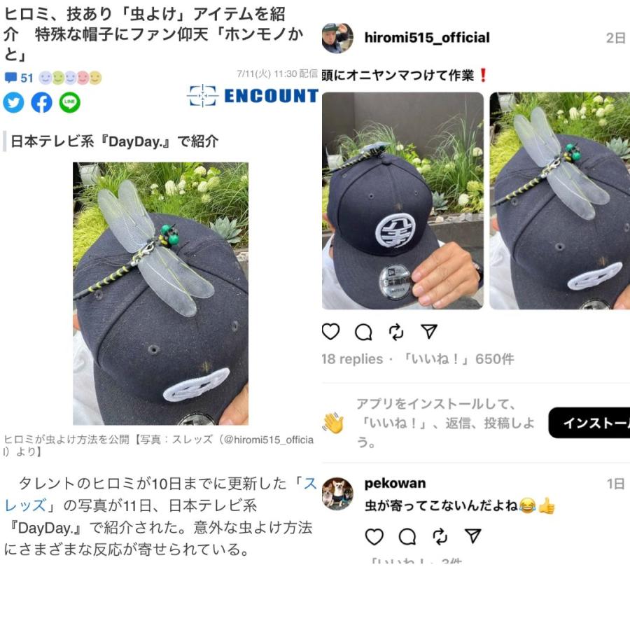 3個　箱入り　オニヤンマ　おにやんま　オニヤンマ君　オニヤンマくん　とんぼ　虫除け |  | 08