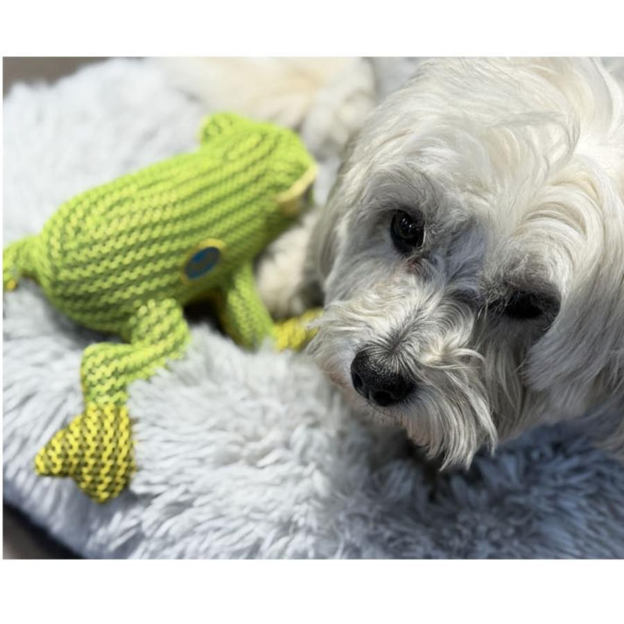 音がなるおもちゃ メッシュ素材 ペット用おもちゃ, 可愛い海の生き物デザイン, ブルー・ピンク・グリーン |  | 09