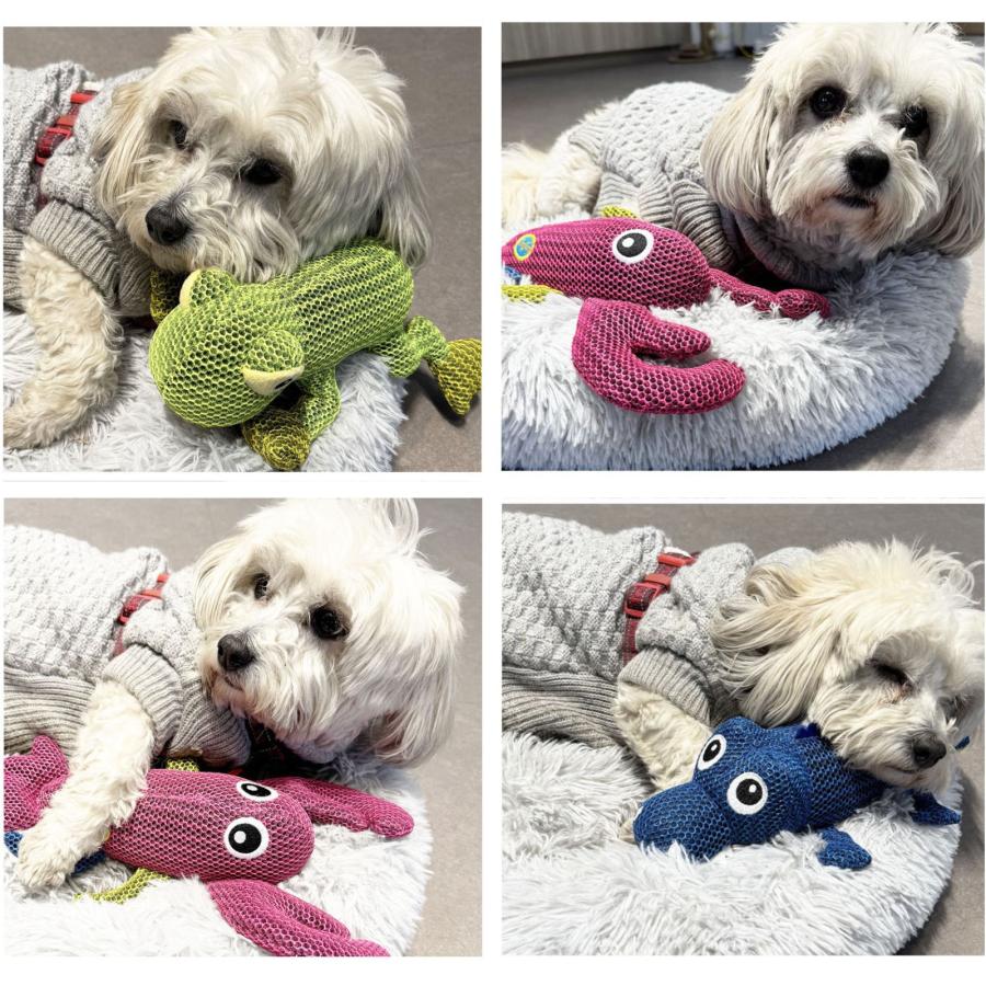 音がなるおもちゃ メッシュ素材 ペット用おもちゃ, 可愛い海の生き物デザイン, ブルー・ピンク・グリーン |  | 05