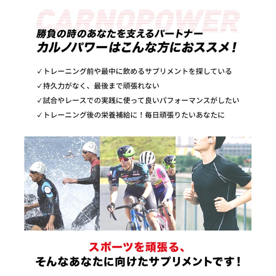 カルノパワー DAILY 120粒×3個セット カルノシン スポーツサプリメント 