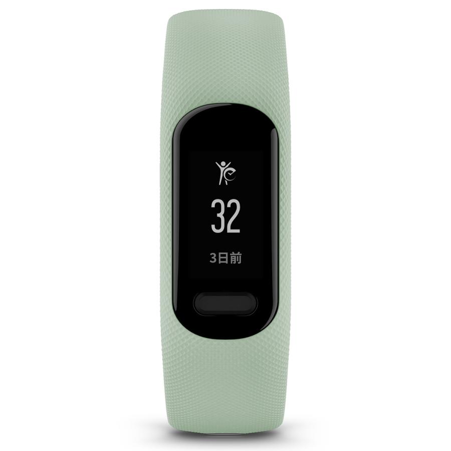ガーミン GARMIN vivosmart 5 ヴィヴォスマート5 GPS スマートウォッチの画像