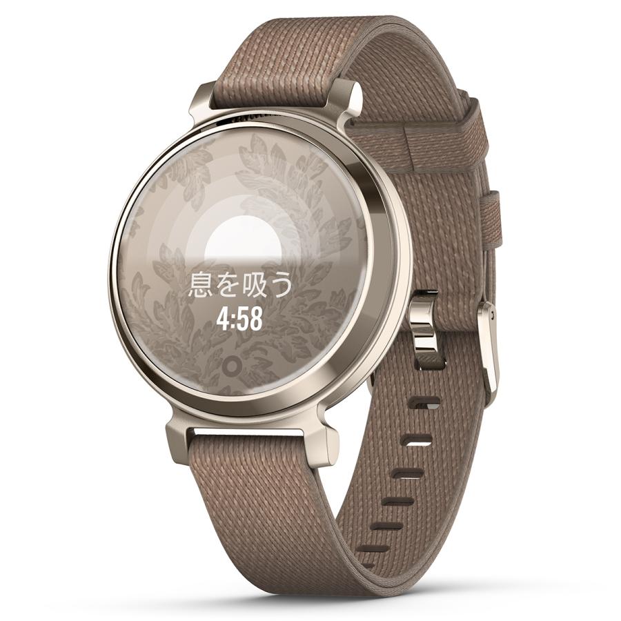 GARMIN（ガーミン） （無金利ローン）ガーミン GARMIN Lily 2 Classic
