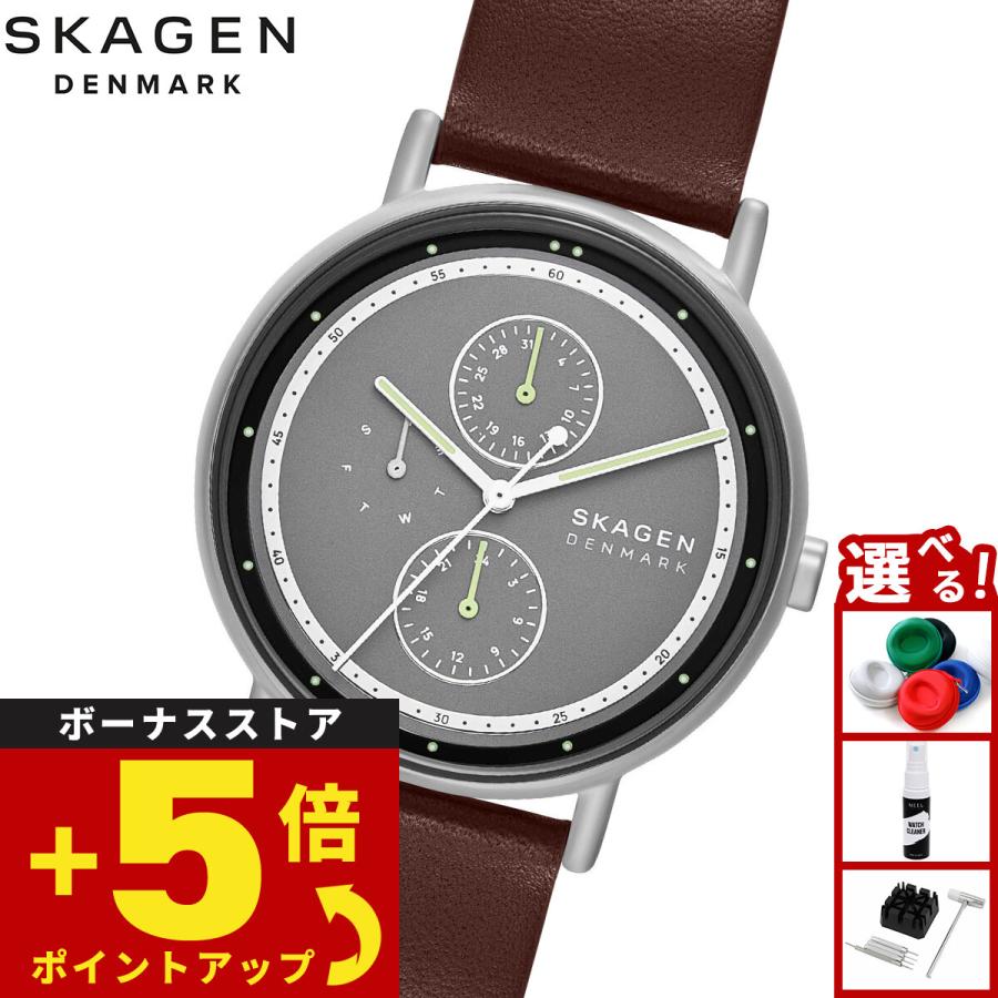 SIGNATUR （ノベルティー付き）スカーゲン SKAGEN 腕時計 メンズ