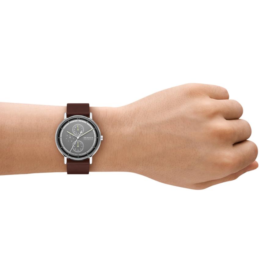 SIGNATUR （ノベルティー付き）スカーゲン SKAGEN 腕時計 メンズ