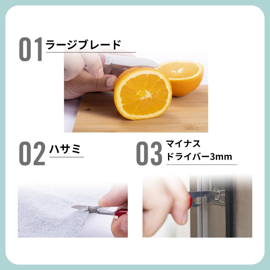 VICTORINOX men's 美品　Lサイズ　ねね様　おまとめ VICTORINOX men's 美品 Lサイズ ねね様 おまとめ