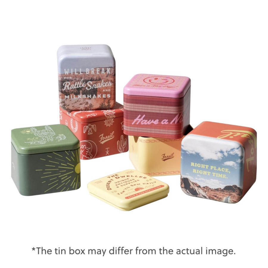 フォッシル FOSSIL 腕時計 メンズ MACHINE 三針デイト ブラウン