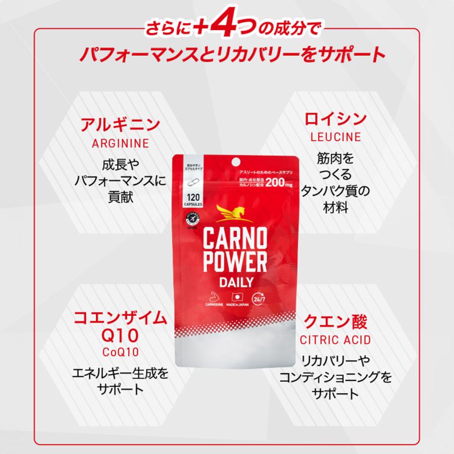 カルノパワー DAILY 120粒×3個セット カルノシン スポーツサプリメント 