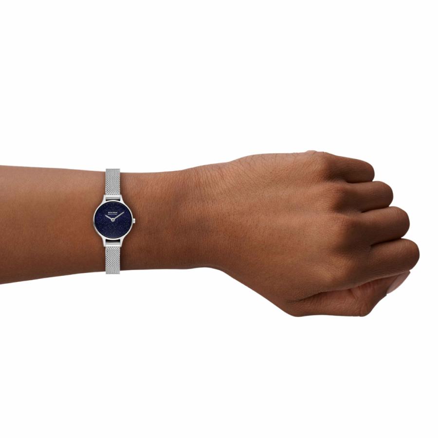 SKAGEN（スカーゲン） （ノベルティー付き）スカーゲン 腕時計