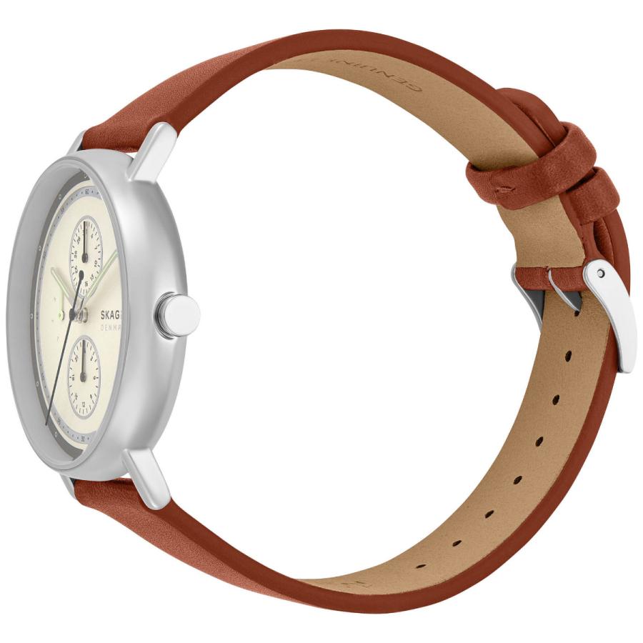 SIGNATUR （ノベルティー付き）スカーゲン SKAGEN 腕時計 メンズ