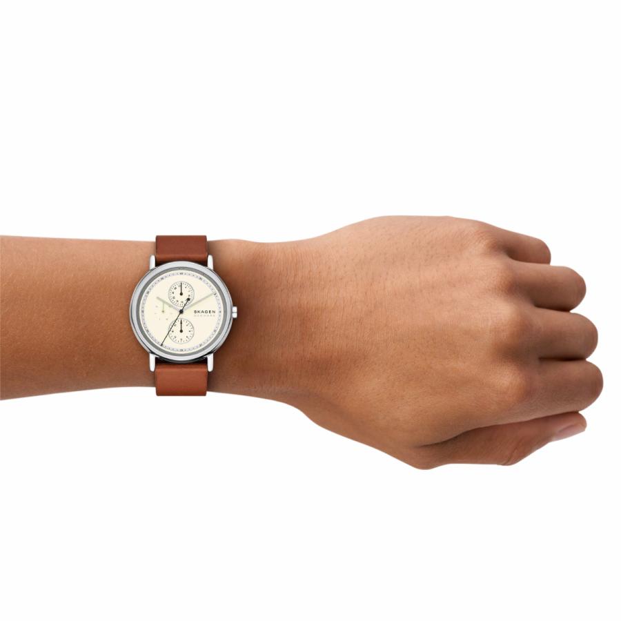 SIGNATUR （ノベルティー付き）スカーゲン SKAGEN 腕時計 メンズ