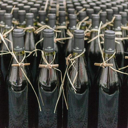 イル ビアンコ ディ チッチオ イタリア産 辛口 白ワイン オイスターワイン 白 イタリア 金賞 750ml×12本_6