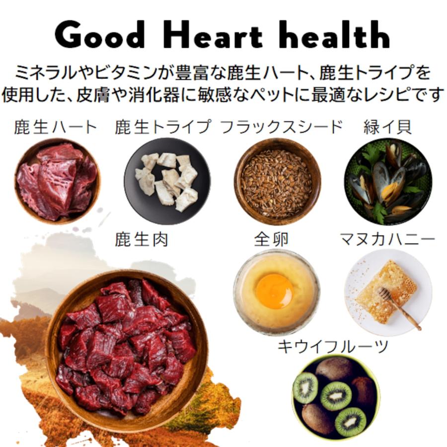 アディクション ワイルドアイランズ ドッグフード フォレストミート