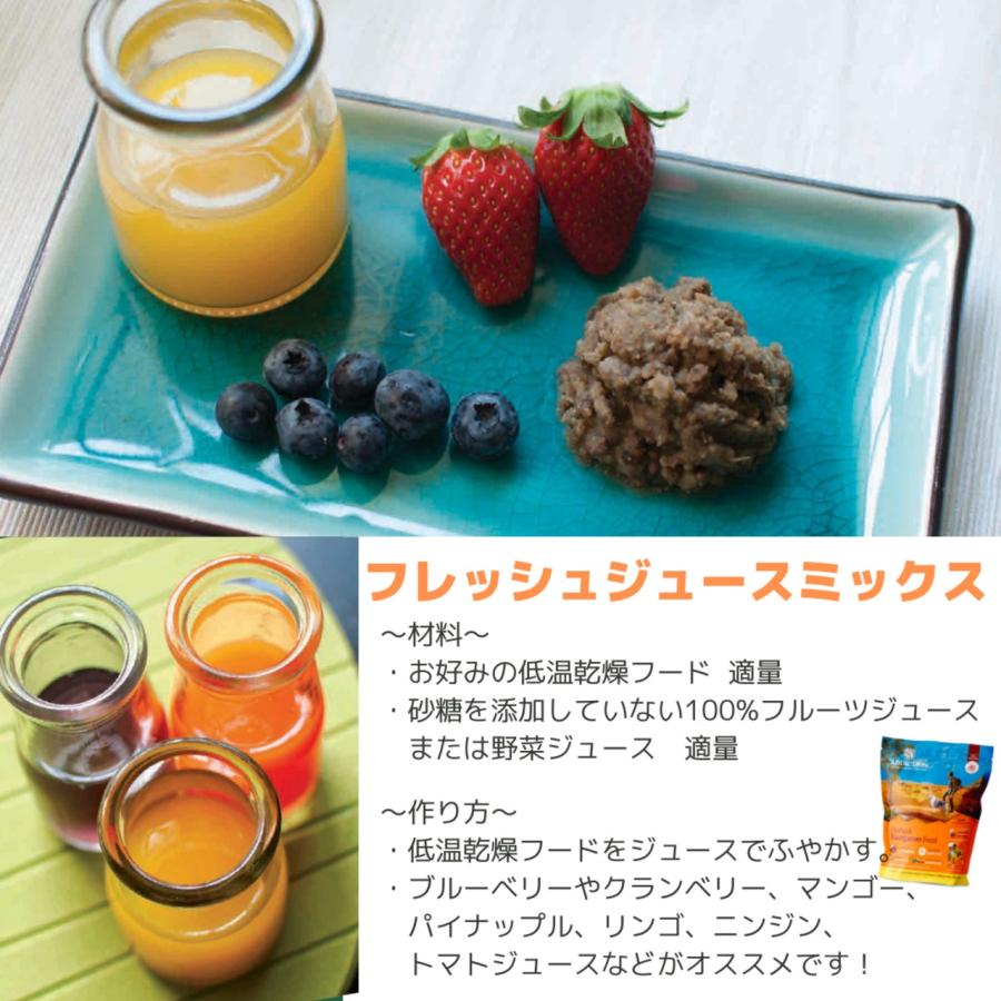 ADDICTION 低温乾燥 ベニソン&クランベリーディナー 910g ×2