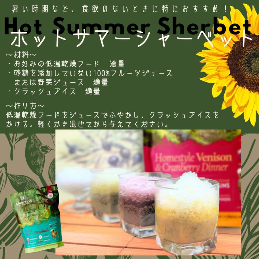 ADDICTION 低温乾燥 ベニソン&クランベリーディナー 910g ×2