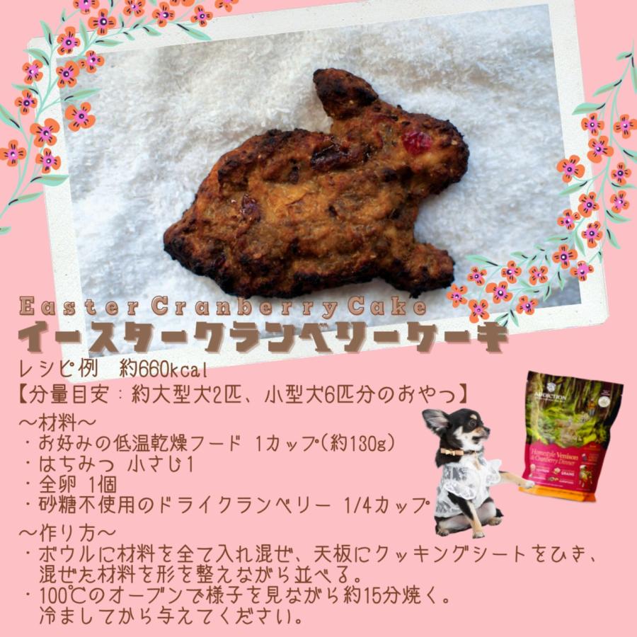 ADDICTION 低温乾燥 ベニソン&クランベリーディナー 910g ×2